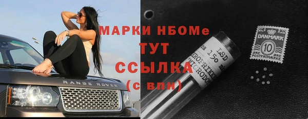 твердый Осинники