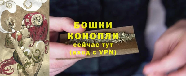 твердый Осинники