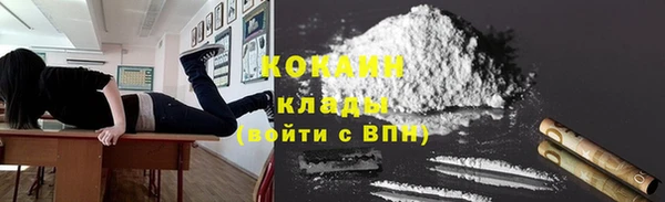 твердый Осинники