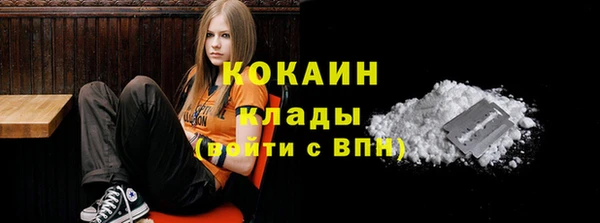твердый Осинники