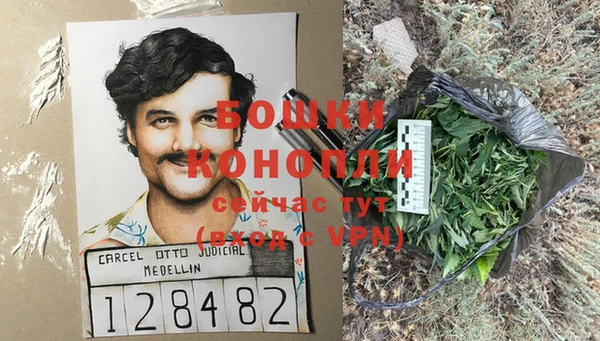 твердый Осинники