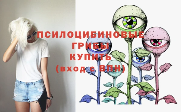 твердый Осинники