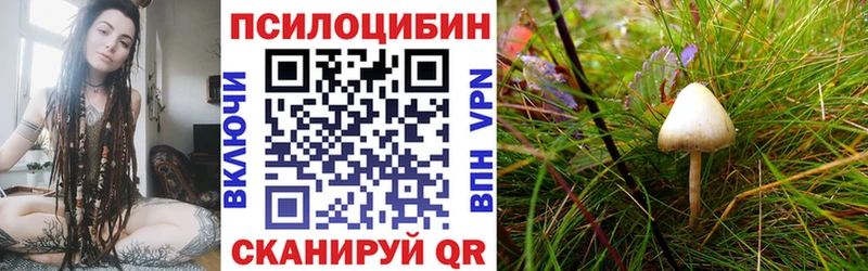 Галлюциногенные грибы ЛСД  Пугачёв 